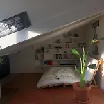 Appartement Parisien